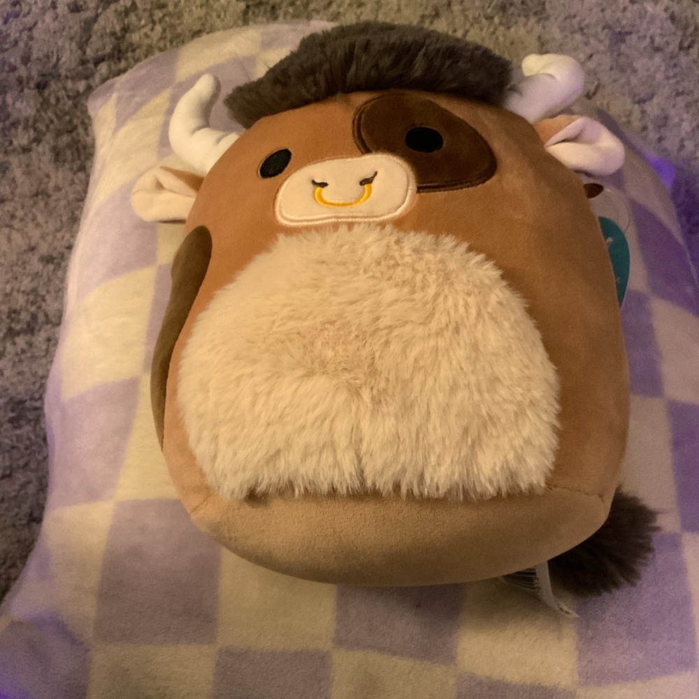 Shep squishmallow